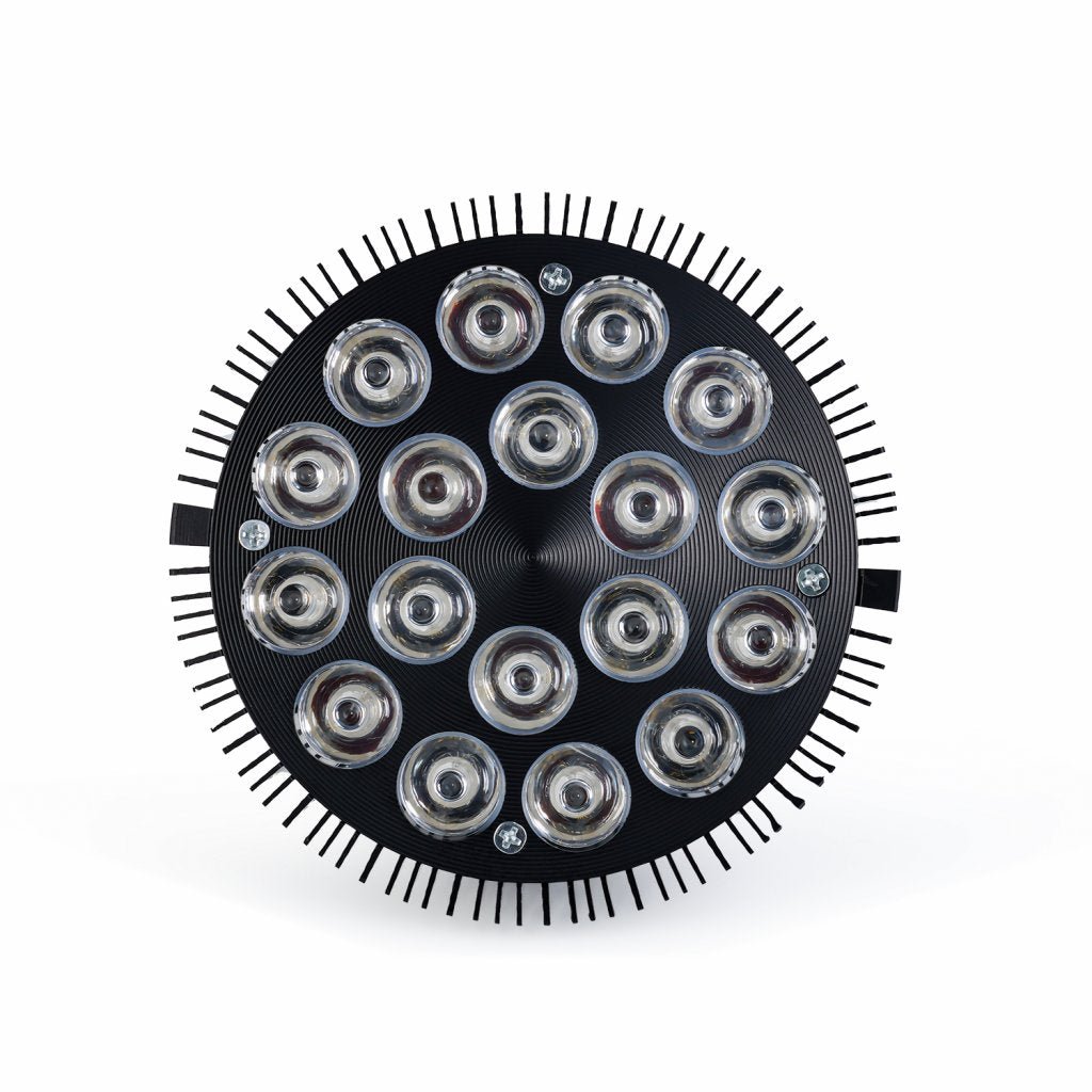 Hack Human - Mito Light - MITO LIGHT® Bulb 3.0 - 