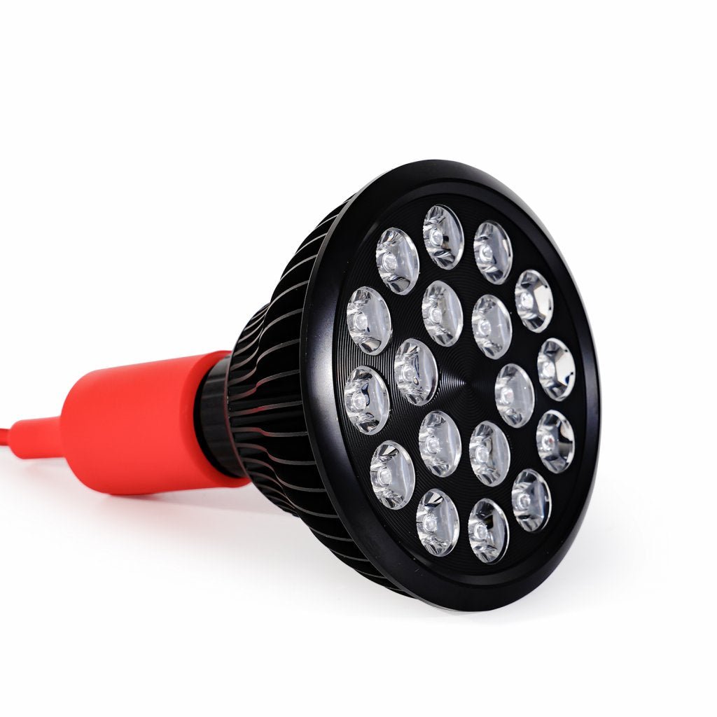 Hack Human - Mito Light - MITO LIGHT® Bulb 4.0 - 